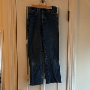 Brandy Melville J Galt High-Waisted Cropped Jeans